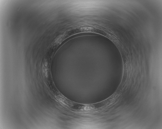 X0000056000223200509162326