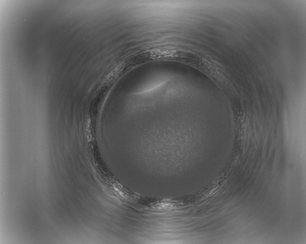 X0000056000224200509162326