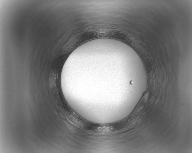 X0000056000225200509162326