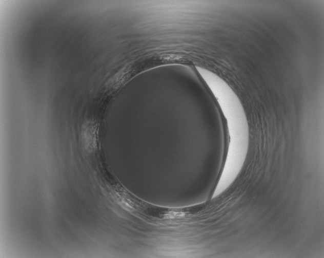 X0000056000227200509162326