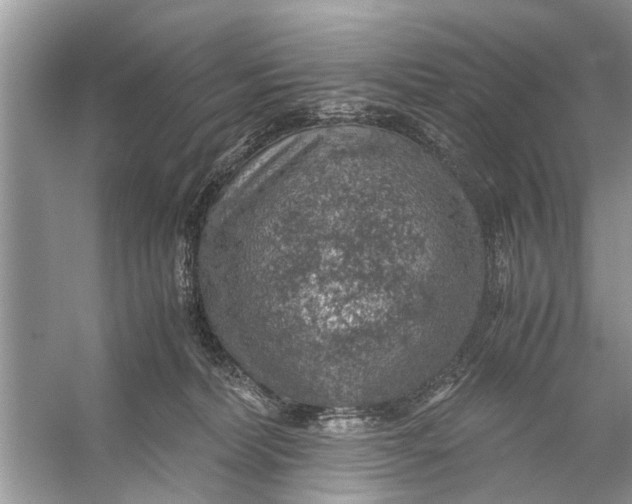 X0000056000228200509162326