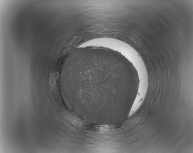 X0000056000229200509162326