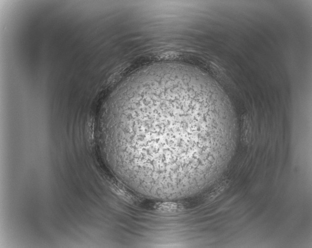 X0000056000230200509162326