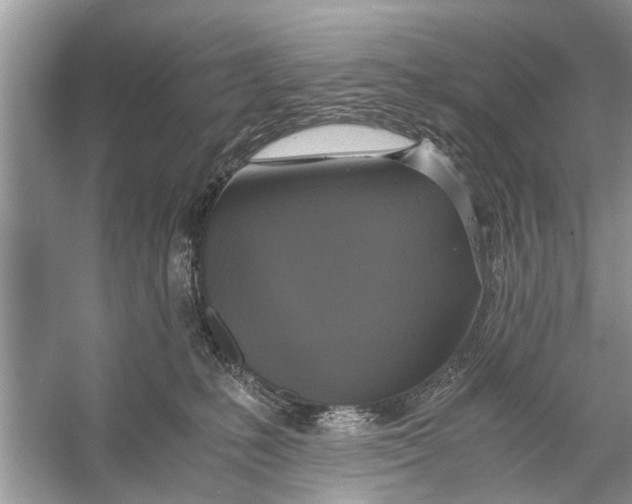 X0000056000231200509162326