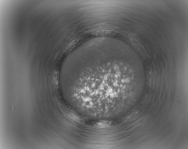 X0000056000232200509162326