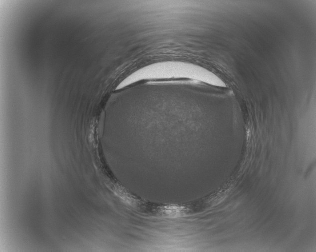 X0000056000233200509162326