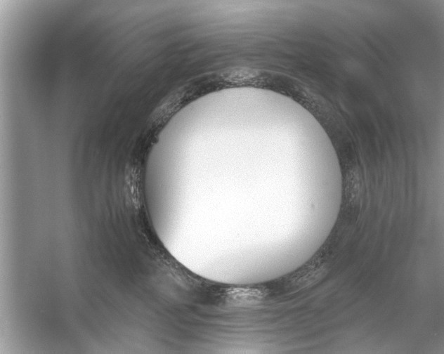 X0000056000234200509162326