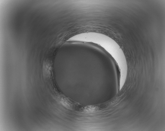 X0000056000235200509162326