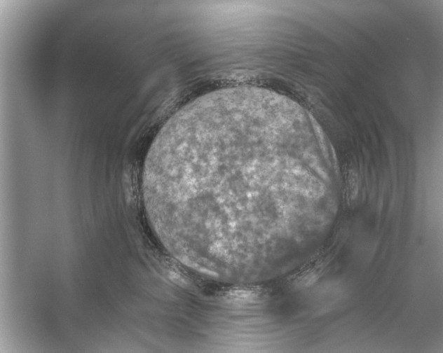 X0000056000236200509162326