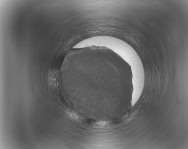 X0000056000237200509162326