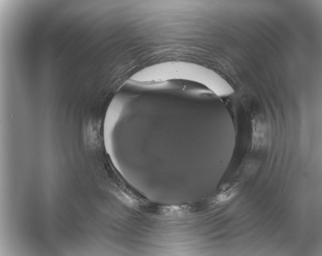 X0000056000239200509162326