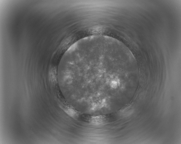 X0000056000240200509162326