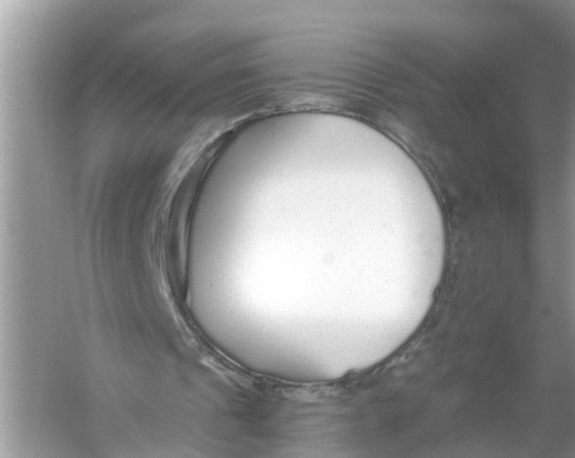 X0000056000241200509162325