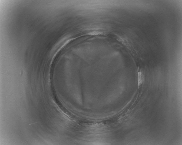 X0000056000243200509162325