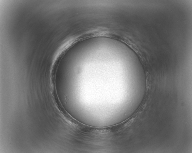 X0000056000245200509162325