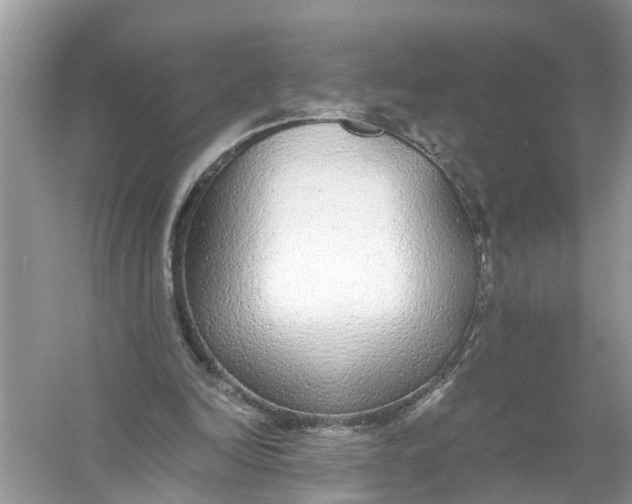 X0000056000246200509162325