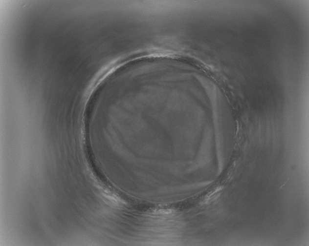 X0000056000247200509162325