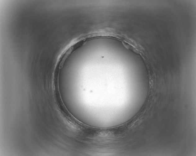 X0000056000248200509162325