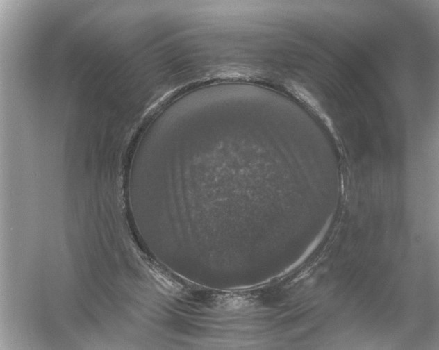 X0000056000249200509162325