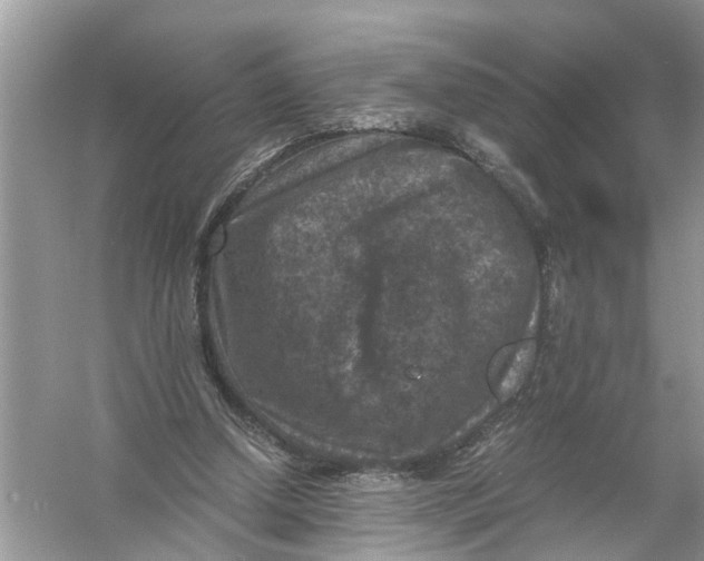 X0000056000250200509162325