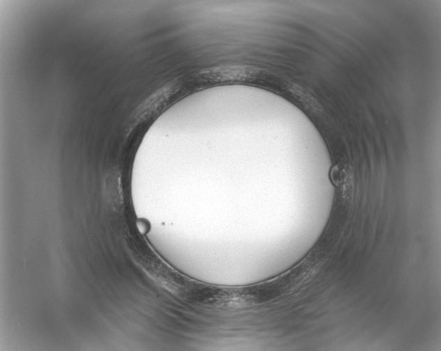 X0000056000254200509162325