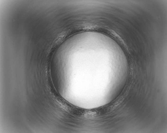 X0000056000257200509162325