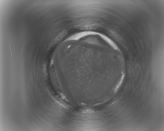 X0000056000258200509162325