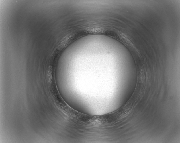 X0000056000259200509162325