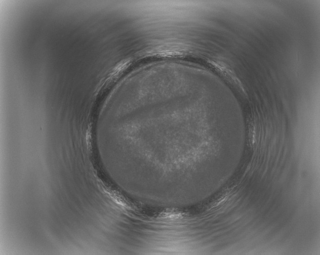 X0000056000260200509162325