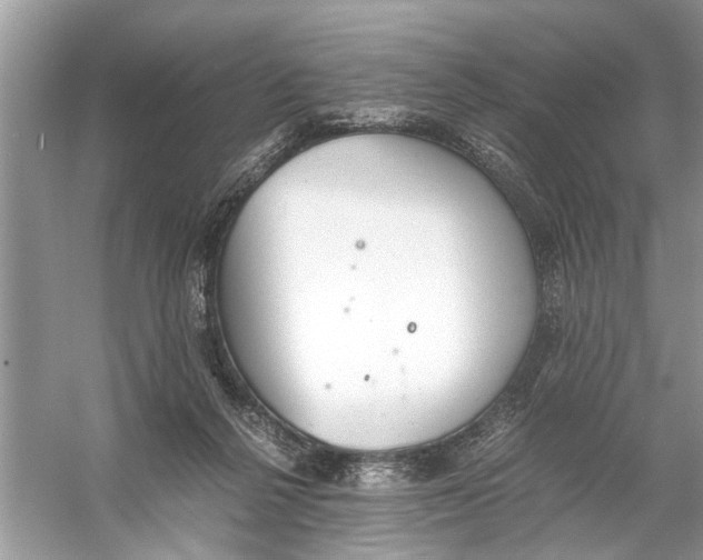 X0000056000264200509162325