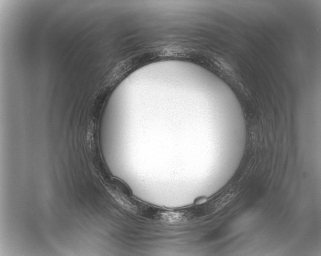 X0000056000265200509162325