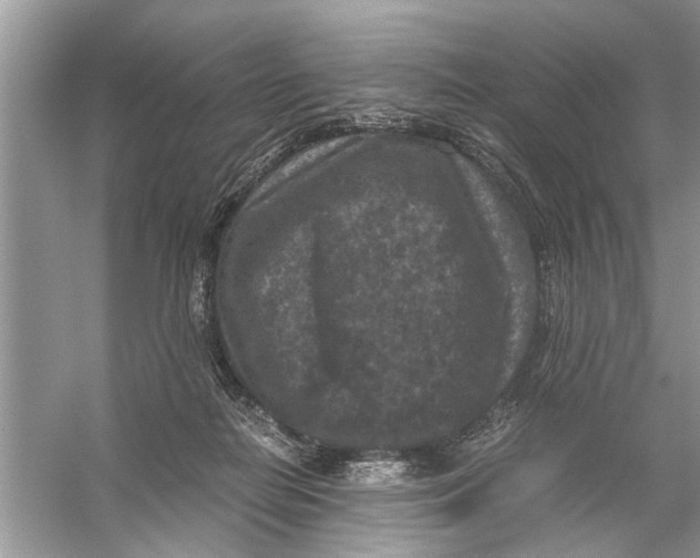 X0000056000266200509162325