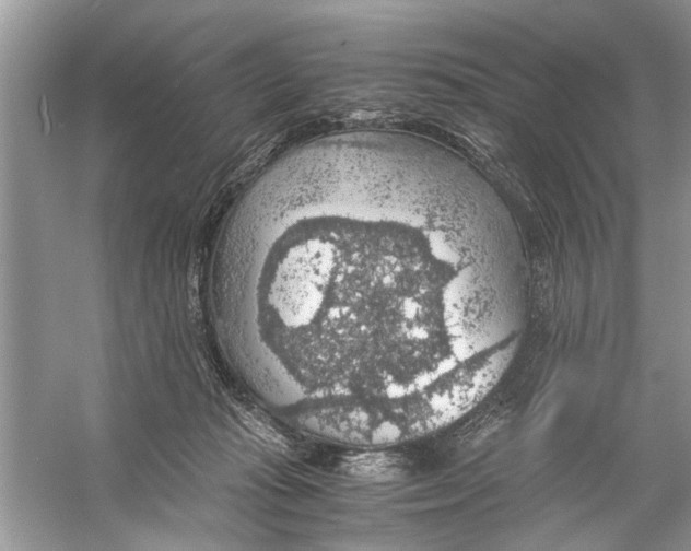 X0000056000269200509162325