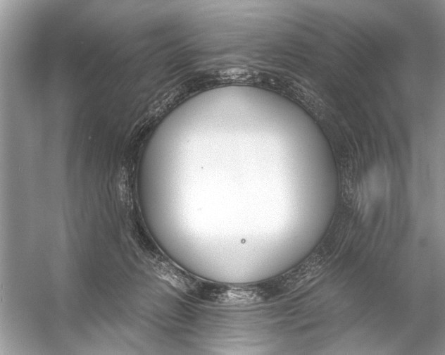 X0000056000270200509162325