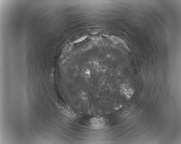 X0000056000271200509162326