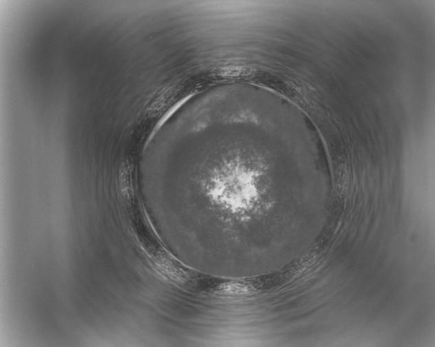 X0000056000272200509162326