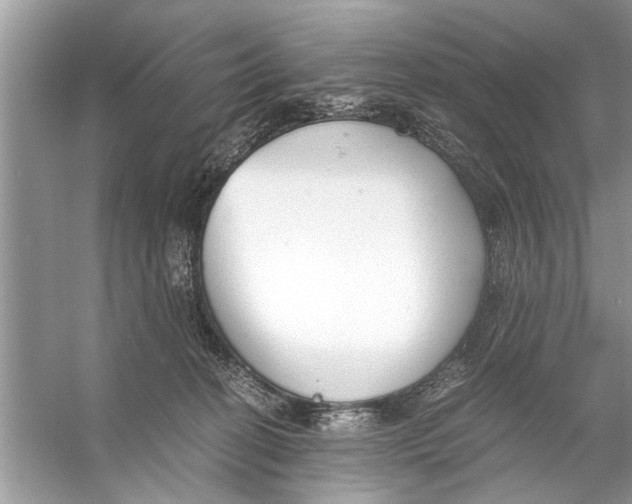 X0000056000274200509162326