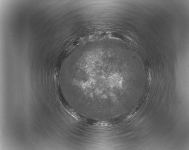 X0000056000276200509162326