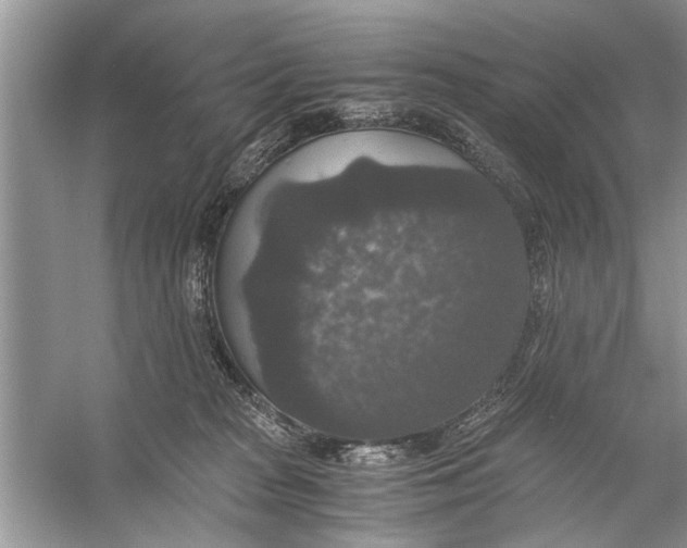 X0000056000277200509162326