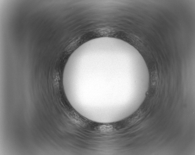 X0000056000279200509162326