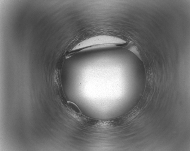 X0000056000280200509162326