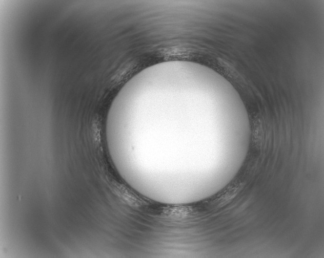 X0000056000282200509162326