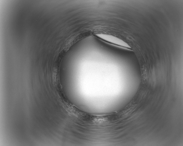 X0000056000283200509162326