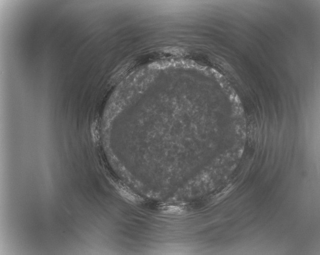 X0000056000285200509162326