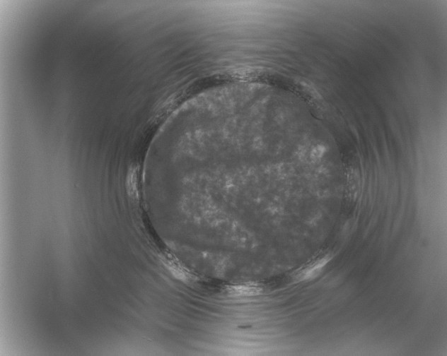 X0000056000286200509162326