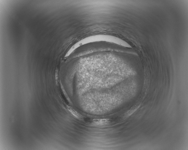 X0000056000288200509162326