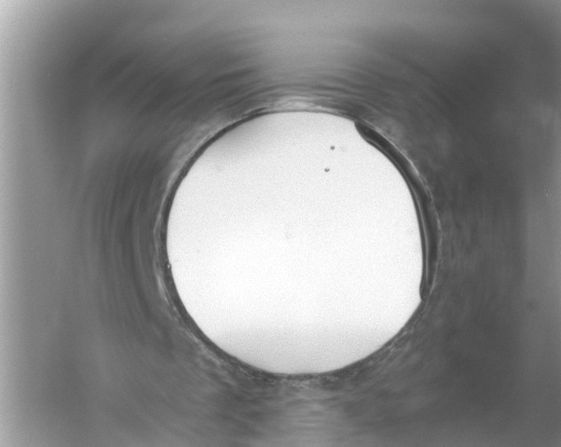 X0000056000289200509162325