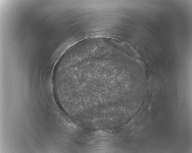 X0000056000290200509162325