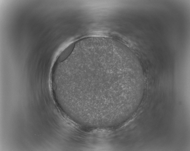 X0000056000294200509162325