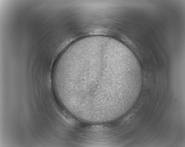 X0000056000298200509162325